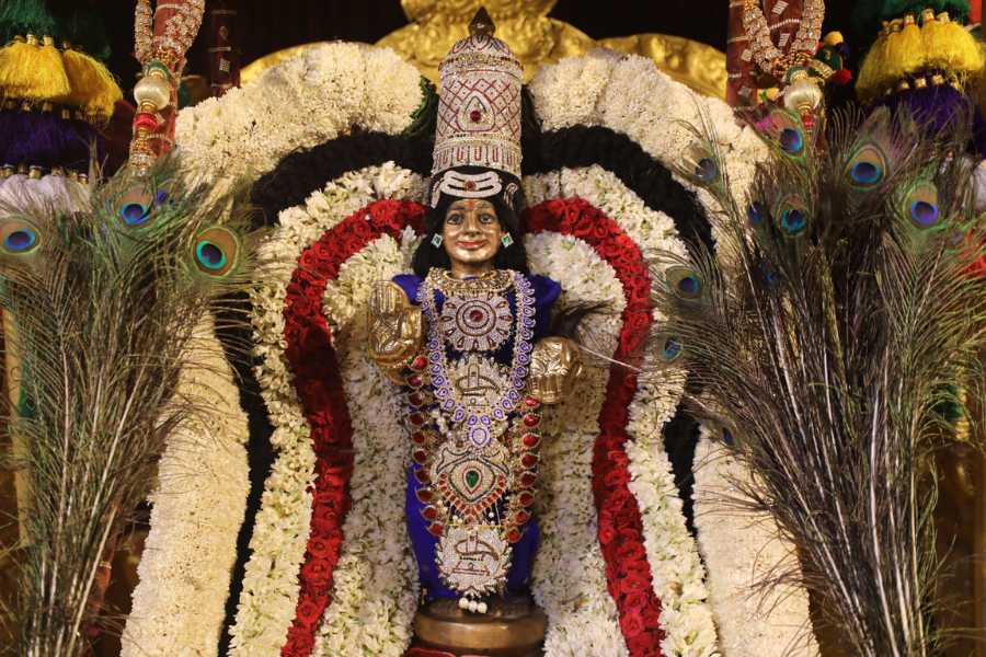Tiruvarur Thyagaraja Alankara Seva — Kamala Peetha (7 Aug)
