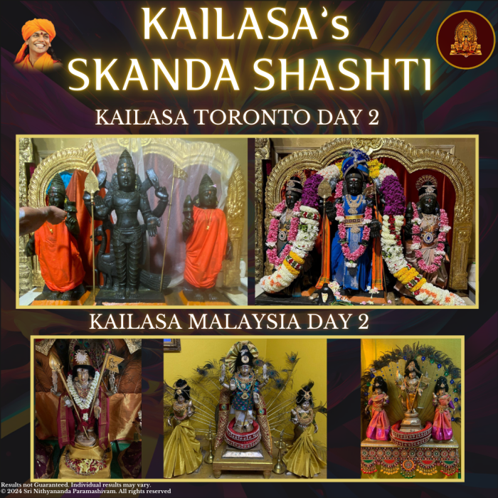 Temple Event Collages